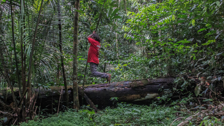 Exposição em Portugal une fotografia e artes sobre a Amazônia