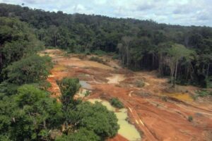 Garimpo devastou área de quatro campos de futebol por dia em terras indígenas em 2023, afirma Greenpeace