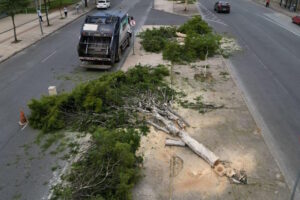 Liminar interrompe corte de árvores para circuito da Stock Car, em Belo Horizonte