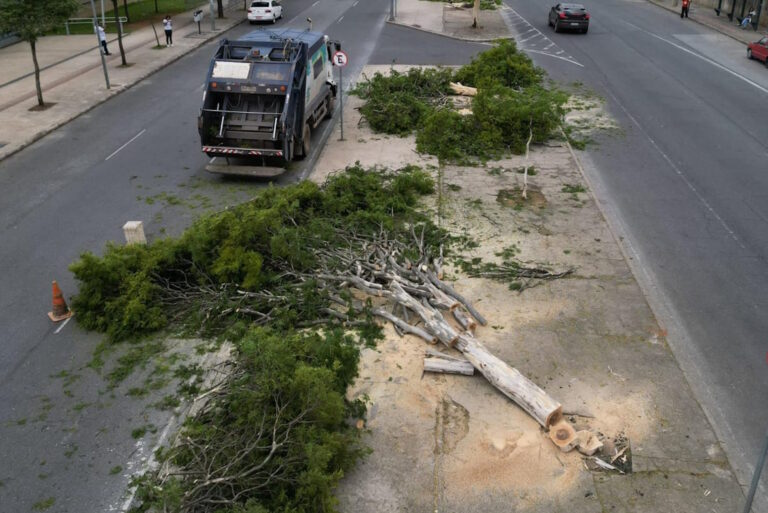 Liminar interrompe corte de árvores para circuito da Stock Car, em Belo Horizonte