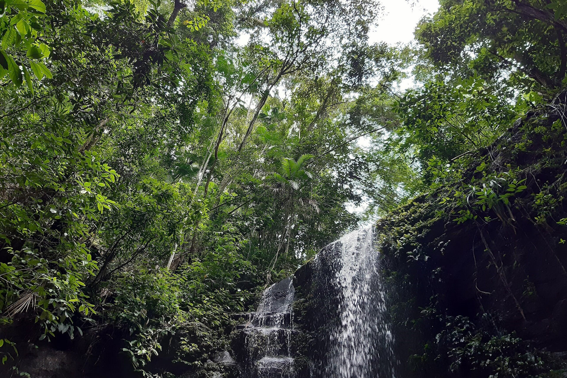 Parque no RJ novamente puxa recorde de turismo em UCs federais