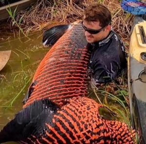 Pescador vence "briga" e fisga pirarucu com mais de dois metros e 130 quilos em Rondônia