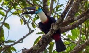 b65ccee7-cb4a-4e5a-9f7a-e866c0b661bc