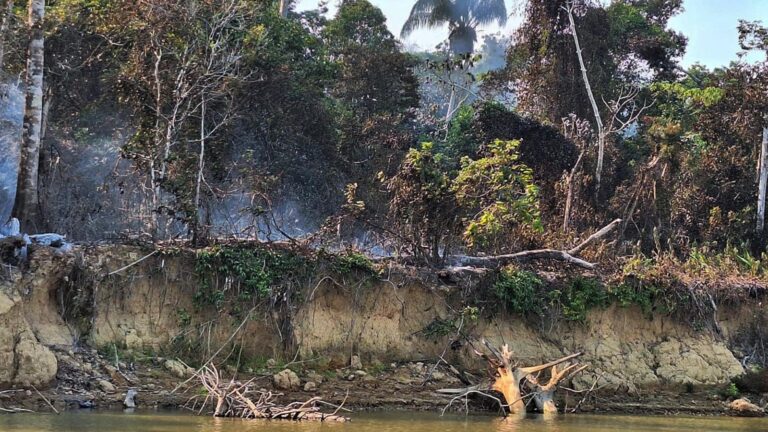 Rios e igarapés secam na Terra Indígena Yanomami