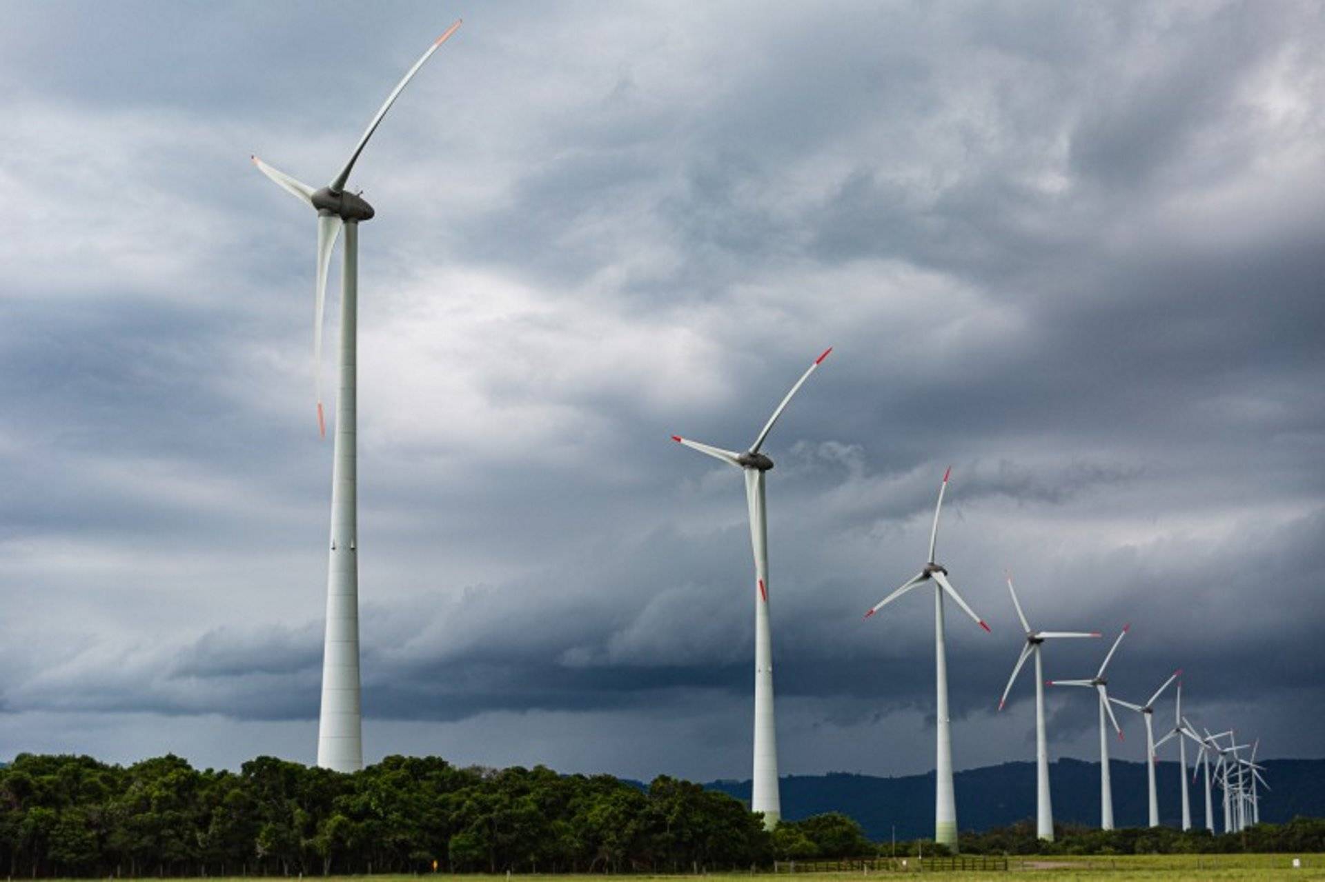 Afinal, o que é a industrialização verde? Guia explica porque este ainda é um termo em disputa