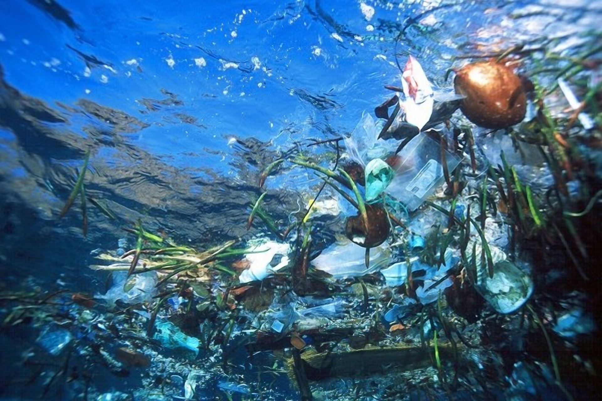 Brasil precisa reforçar o tratado contra poluição plástica marinha