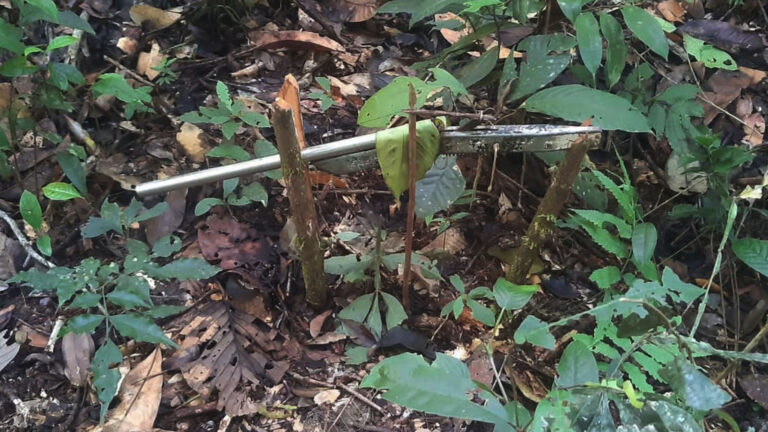 Caçadores invadem área de indígenas isolados no Vale do Javari