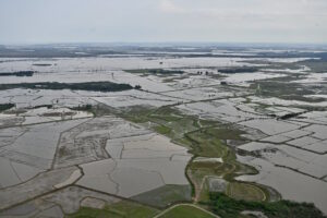Catástrofes, aprendizagens e aplicações sobre conservação da natureza nos negócios