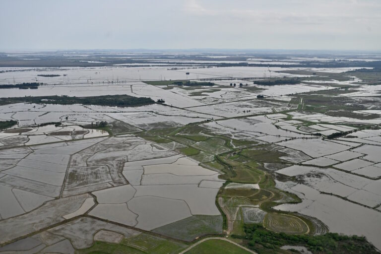 Catástrofes, aprendizagens e aplicações sobre conservação da natureza nos negócios