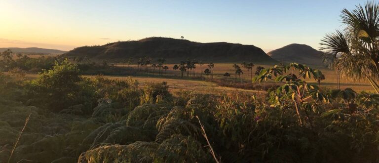 Conselhos de Biologia repudiam projeto que derruba proteção a campos naturais