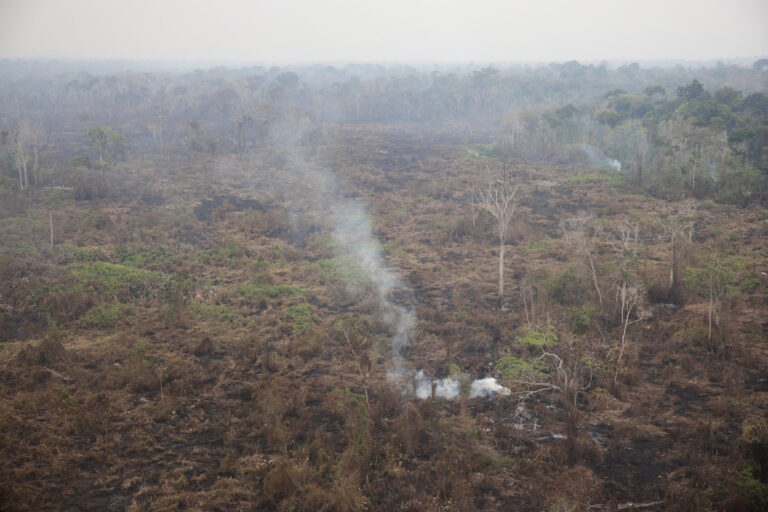 Degradação florestal na Amazônia aumenta quase 5.000% em março