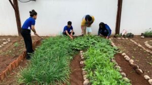 Estudantes mato-grossenses aprendem a fazer adubo orgânico utilizando técnica sustentável