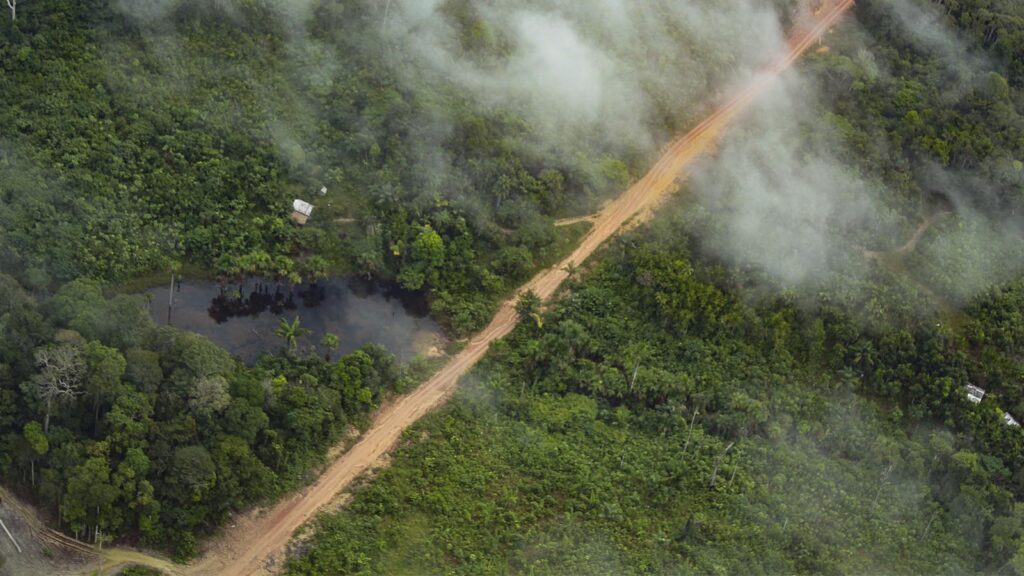 Sobrevoo em Novo Aripuanã (Foto: Wérica Lma/Amazônia Real)