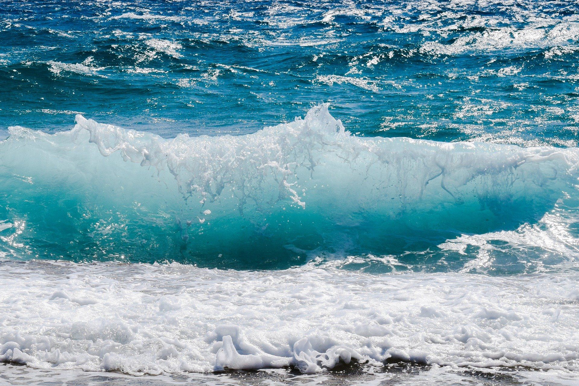 Um oceano de diversidade: Navegando pela inclusão e equidade na Década do Oceano