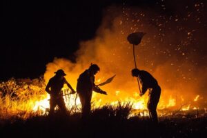 Memórias do fogo: Como um ambientalista transformou as queimadas da Chapada Diamantina em um romance 