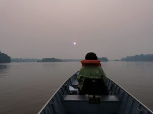 Pesquisa analisa a diversidade geográfica e epidemiológica de inseto da região