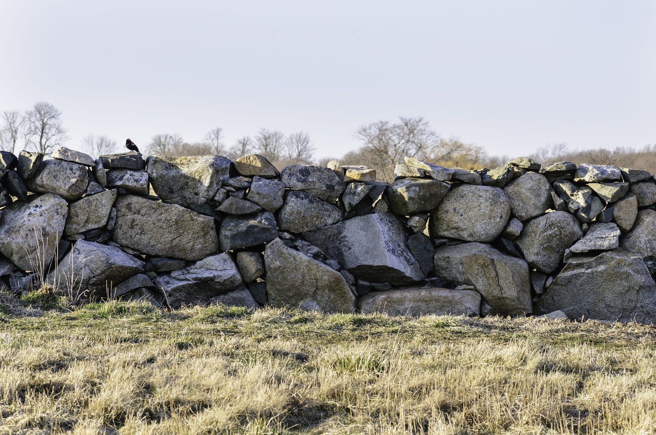 Por que as paredes de pedra na Nova Inglaterra são especiais?