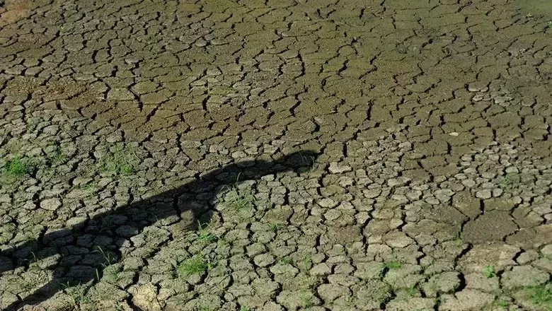 Previsão de La Niña leva empresas a analisarem mudanças no cronograma de escoamento de produtos da Região Norte