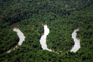 Projeto de Lei tenta reduzir área do Parque Nacional Montanhas do Tumucumaque