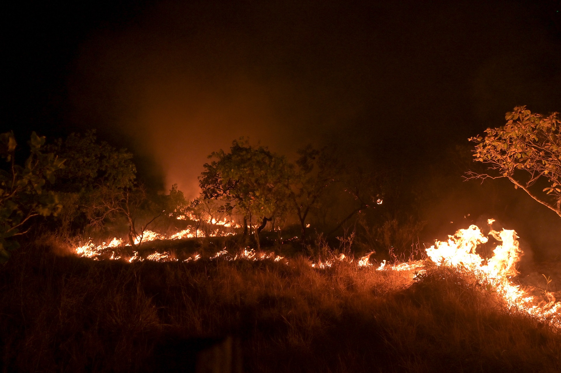 Queimadas explodem no Cerrado e na Amazônia em março