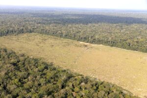 Relatório mostra que bancos (ainda) financiam crimes ambientais na Amazônia