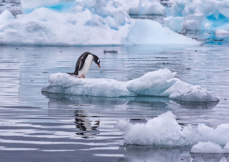 Será que a redução do gelo da Antártica já atingiu um ponto irreversível?