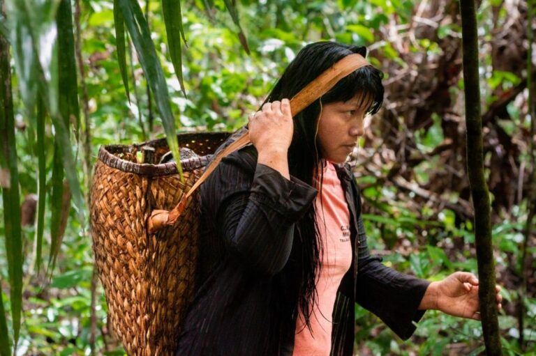 Soluções para cadeias de produtos da Amazônia são mapeadas por estudo