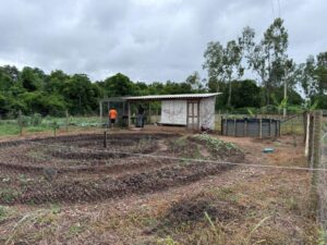 Técnica de mandala: modelo agrícola é utilizado para melhorar produtividade em pequenas áreas de Mato Grosso