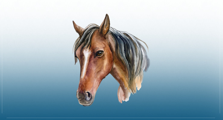 A síndrome de Sansão, o cavalo  – Portal Amazônia