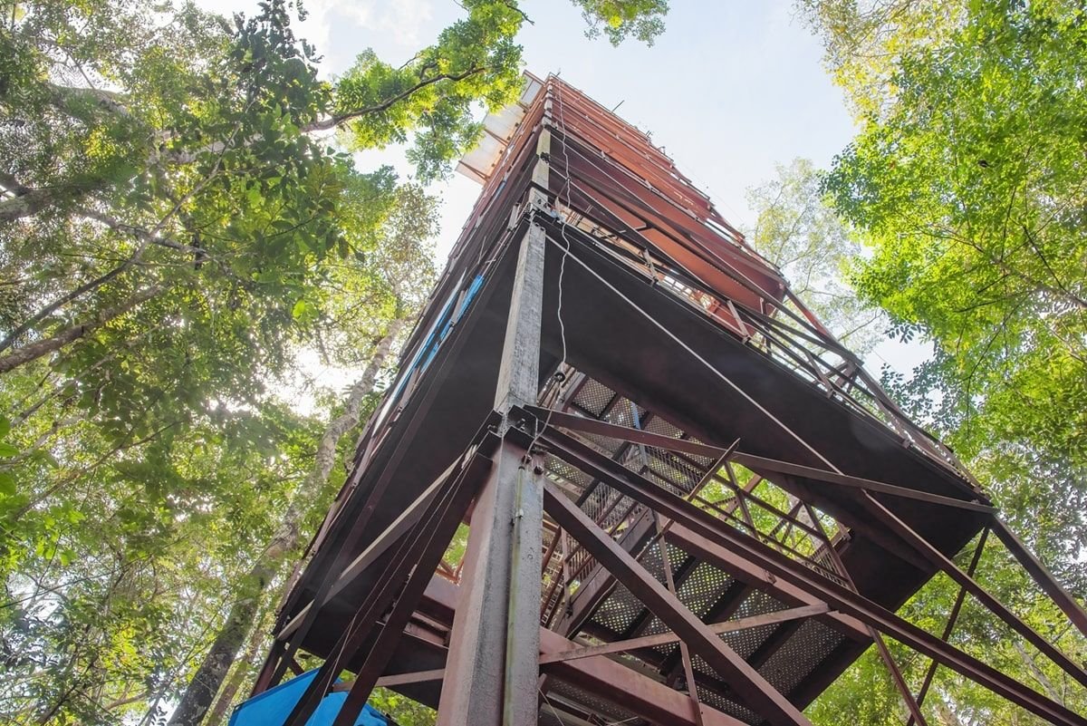 ATTO: estrutura de pesquisa na Amazônia é mais alta que a Torre Eiffel