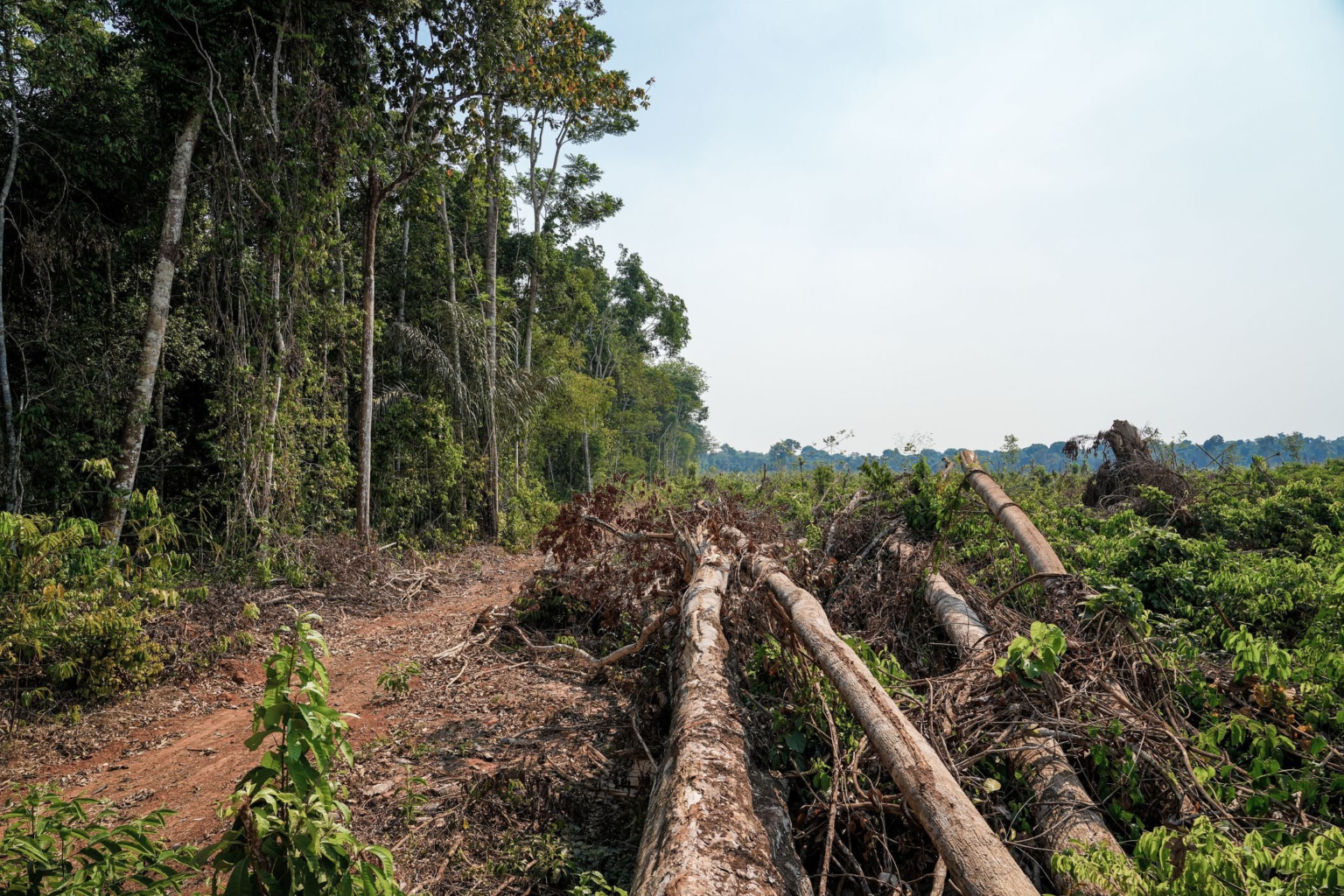 amazonia-registra-a-menor-taxa-de-desmatamento-dos-ultimos-5-anos-banner.png