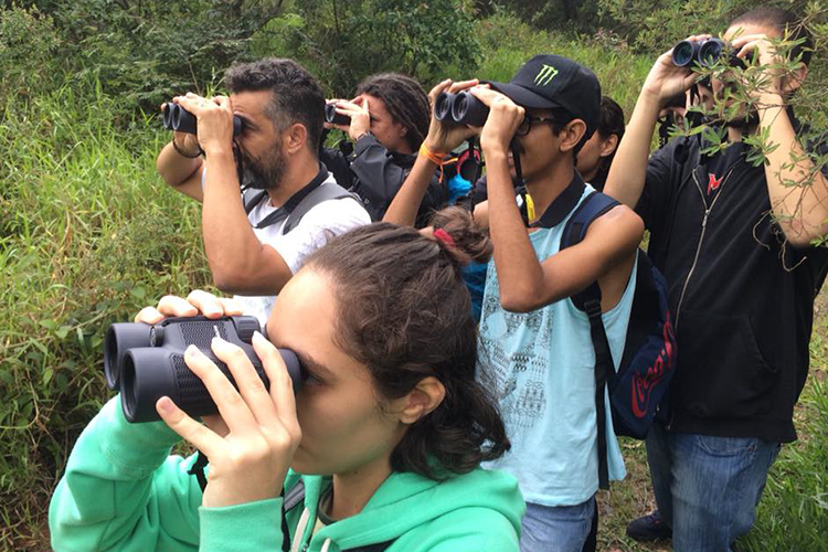 Avistar celebra os 50 anos da observação de aves no Brasil