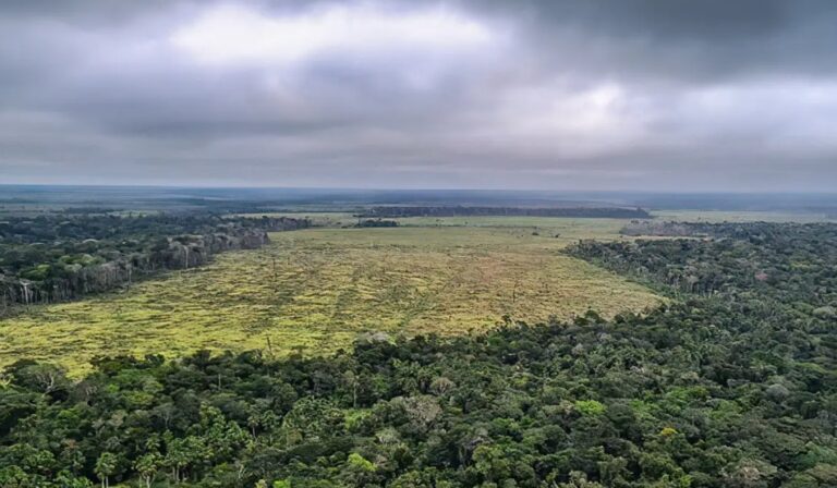 CNJ e MMA fecham acordo para combater desmatamento e grilagem na Amazônia