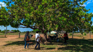 Censo 2022: analfabetismo atinge 11,4 milhões de brasileiros
