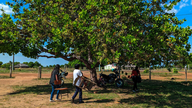 Censo 2022: analfabetismo atinge 11,4 milhões de brasileiros