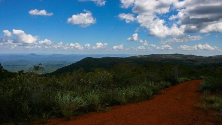 Cientistas aprimoram metodologia para reduzir impacto da mineração na Serra dos Carajás