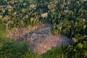 Comissão da Câmara aprova projeto que aumenta pena para crime ambiental na Amazônia