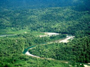 Criação da Reserva Indígena Sierra del Divisor Ocidental é anunciada no Peru