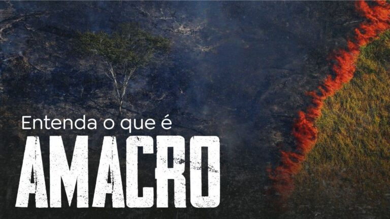 Desenvolvimento sustentável: saiba o que é o projeto AMACRO