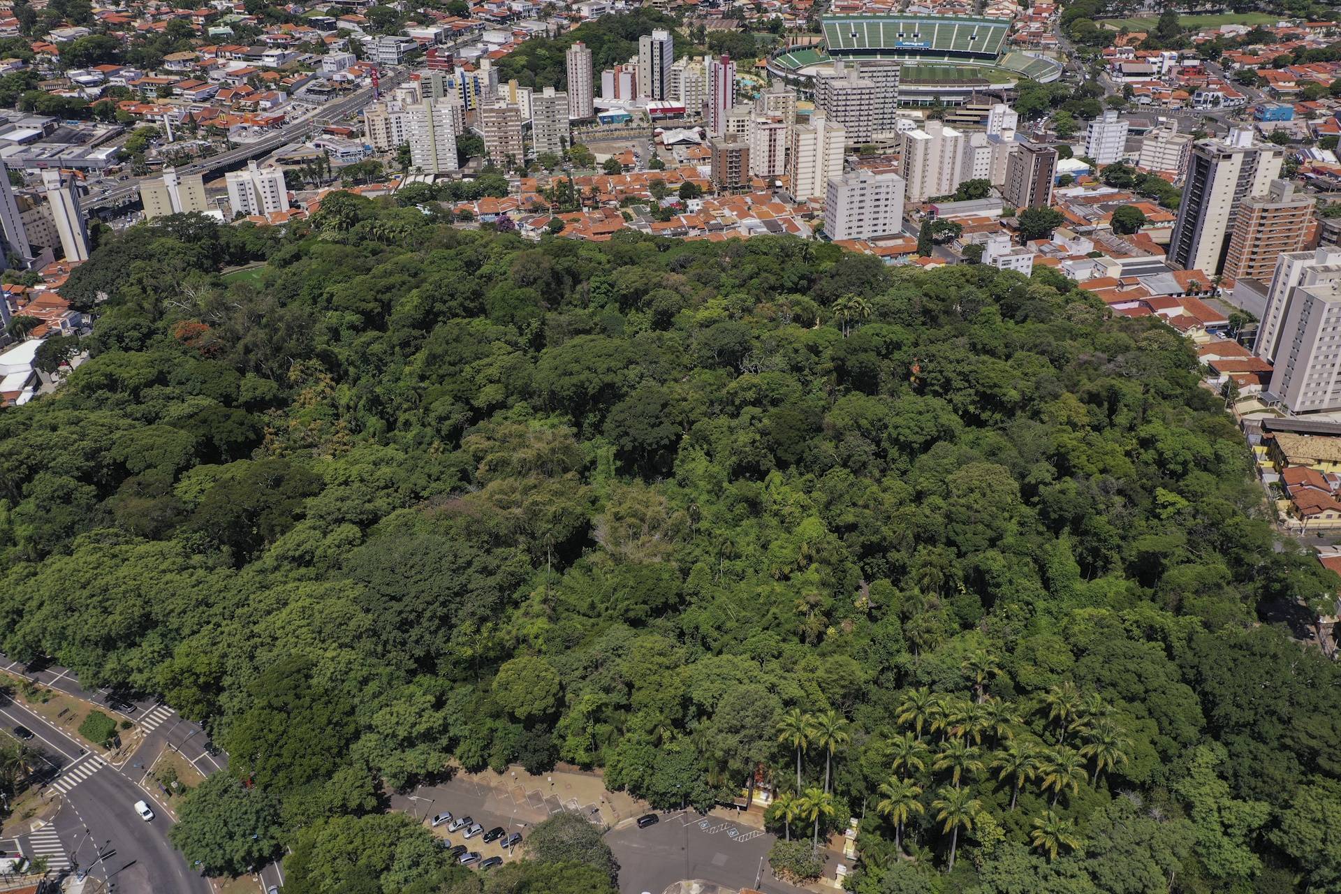 Desmatamento na Mata Atlântica caiu 27% em 2023, mas encraves em outros biomas preocupam