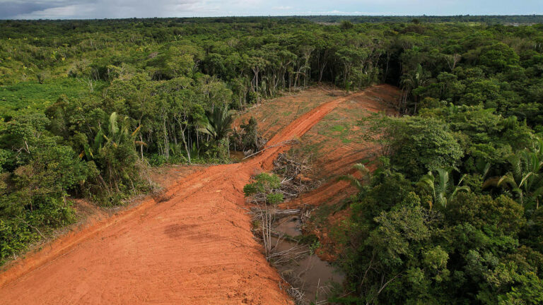 Impactos da rodovia BR-319 - 5: abertura da região Trans-Purus