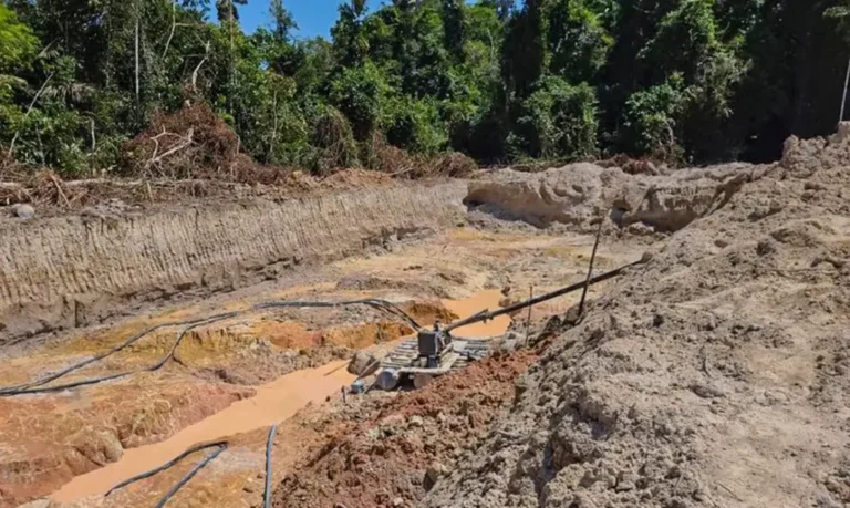 Instituto reúne pesquisadores para combater contaminação por mercúrio na Amazônia