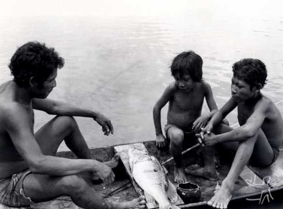 Língua de povo indígena na Amazônia é considerada a mais difícil do mundo