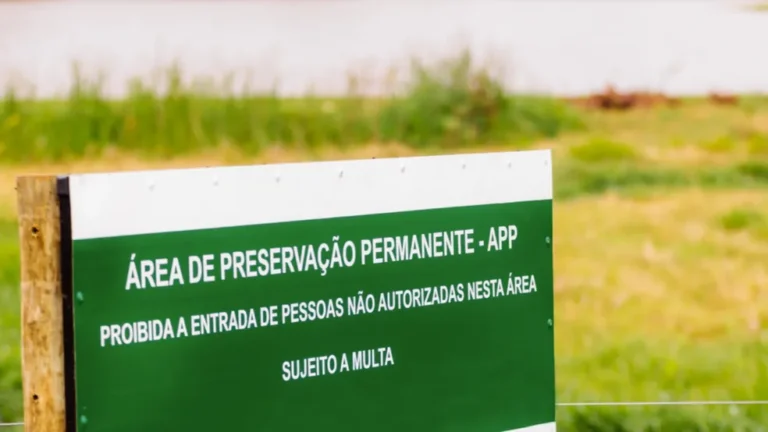 Portal Amazônia responde: qual a função de uma 'área de preservação permanente'?