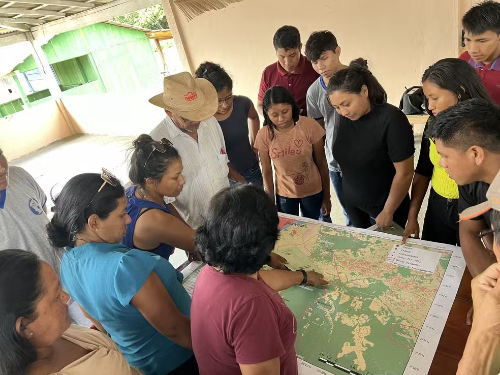 Projeto ensina comunidades indígenas a restaurar vegetação de áreas devastadas em Roraima