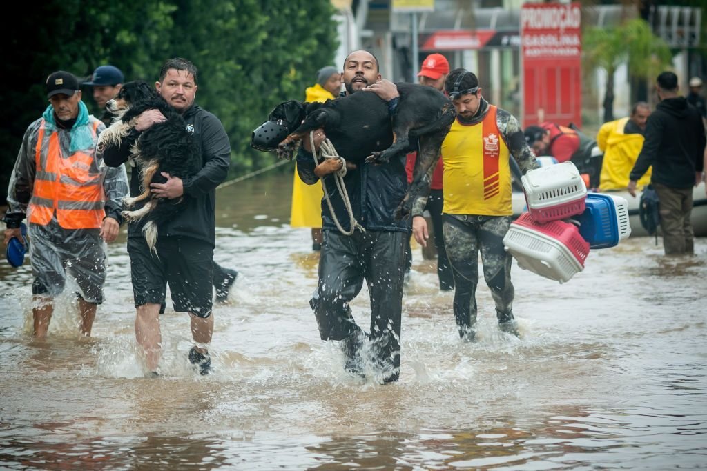 Refugiados climáticos: uma crise global negligenciada internacionalmente