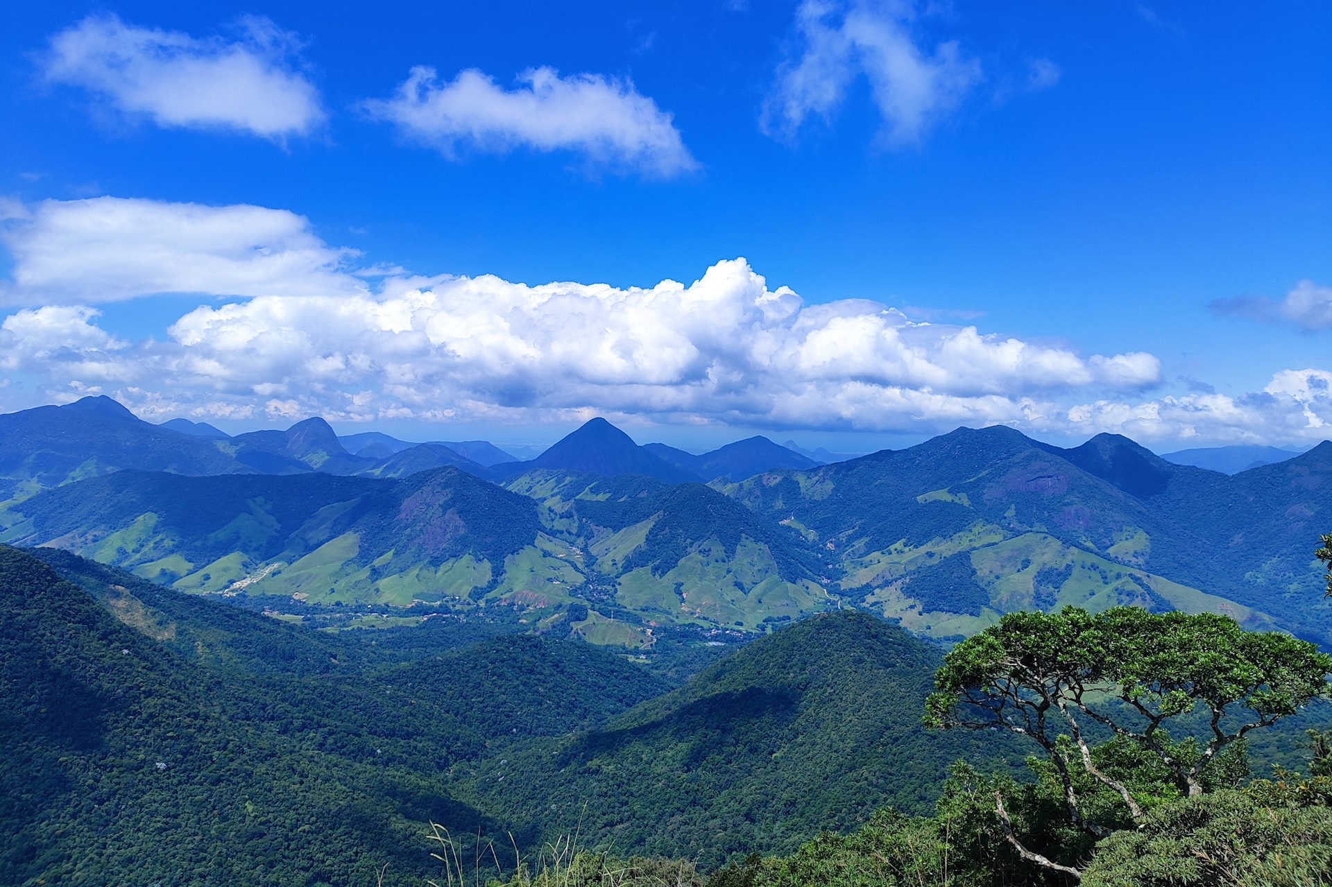 Uma aventura pelo Caminho da Mata Atlântica