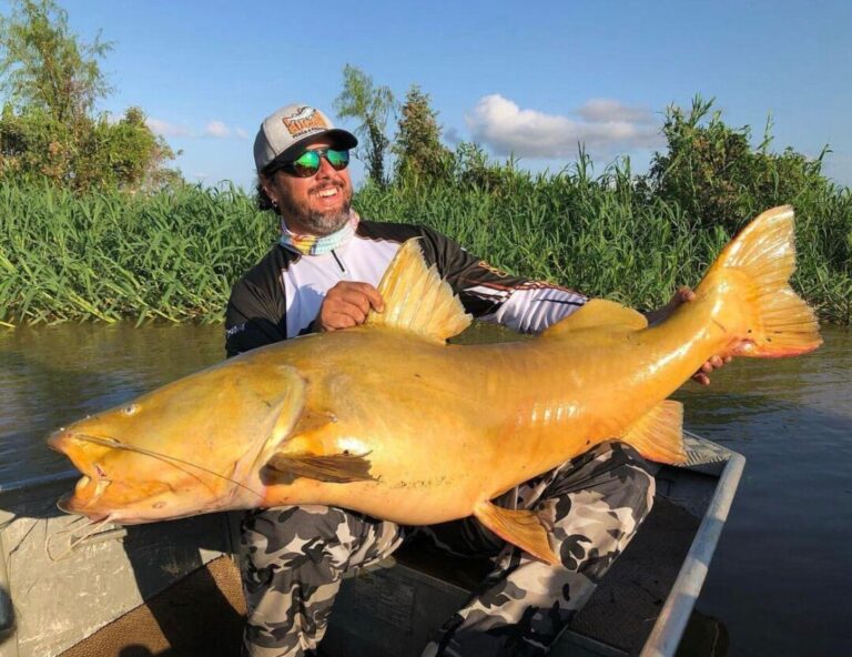 Amazonense está entre maiores recordistas de pesca esportiva do país
