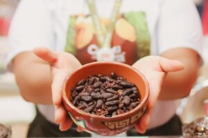 Chocolat Xingu 2024: festival internacional reúne produtores e empresários em Altamira 