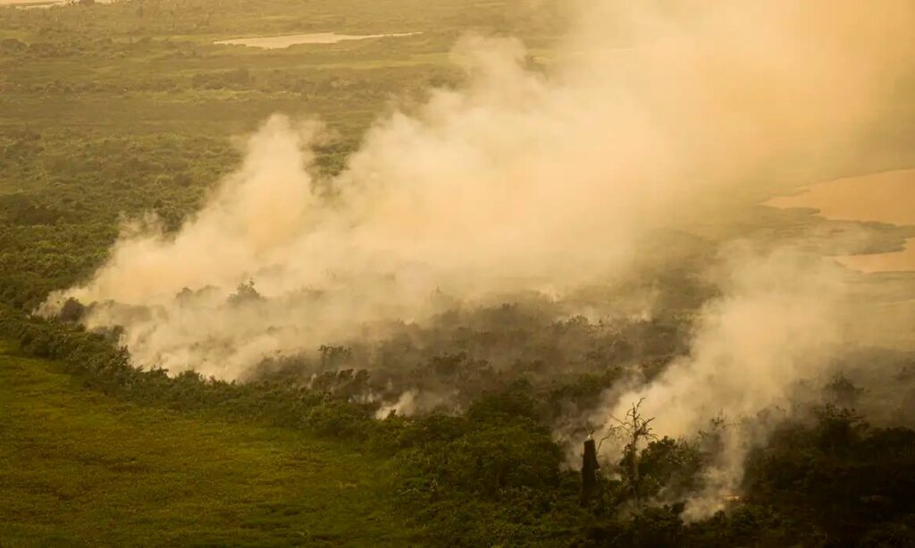 FAB faz voos para combater queimadas no Pantanal – Política – CartaCapital